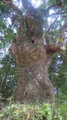 P1090993