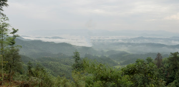 P1100048