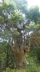 P1090992