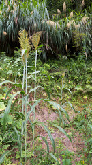 P1100001