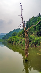 P1100197 拷贝