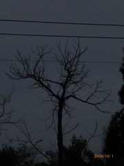 856457