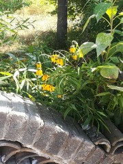 IMG_20241001_134630