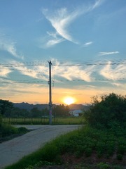 1000020262