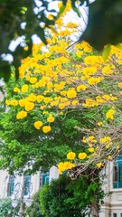 8D87455D-1A32-45ED-81A2-415BEF49C759/L0/001