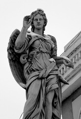 IMG_5372.jpg