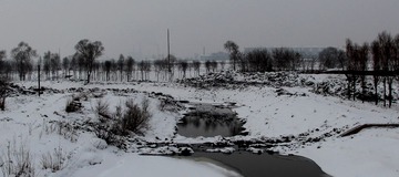 IMG_5317.jpg