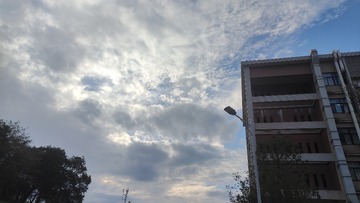1000026463