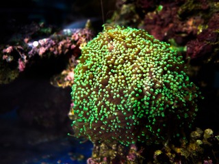 _1100309