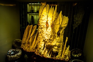 L1002707