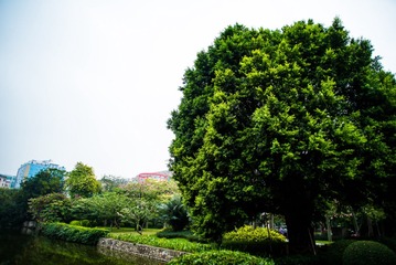 L1002724
