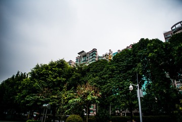 L1002729