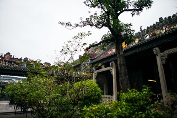 L1003506