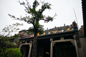 L1003508