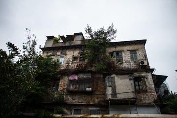 L1003602