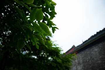 L1003608