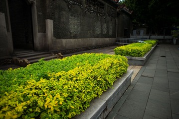 L1003661