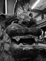 P1100695-1