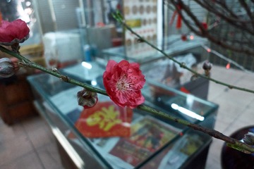 图象名称_56