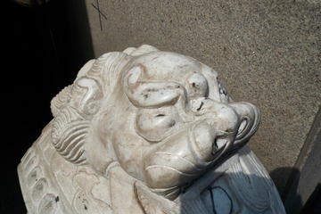 图象名称_81