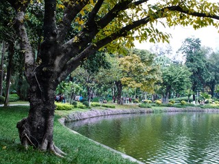 图象名称_58