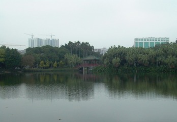 L1010829