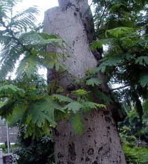L1010897