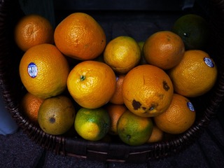 P1100972