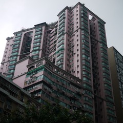P1110549