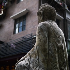 P1110550