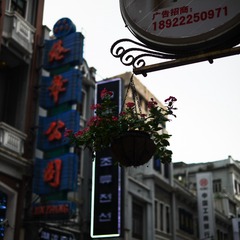 P1110605