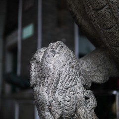 P1110641