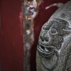 P1110560