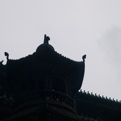 P1110563