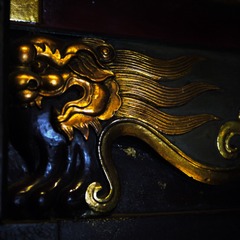 P1110569