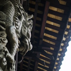 P1110582