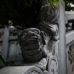 P1110592
