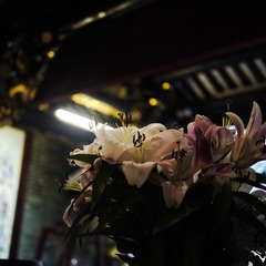 P1110666