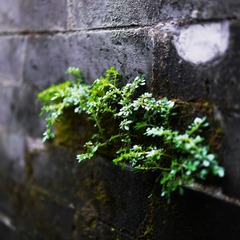 P1110667