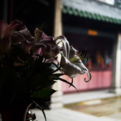 P1110678
