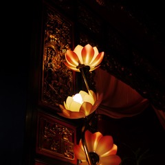 P1110688