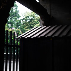 P1110690
