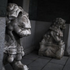 P1110692