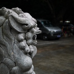 P1110694