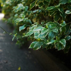P1110769