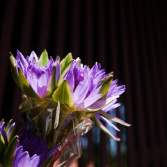 P1110773