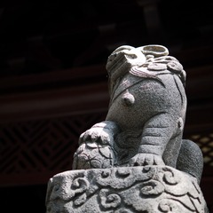 P1110779