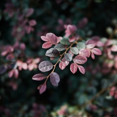 P1110791