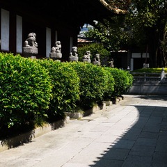 P1110793