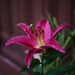 P1110797